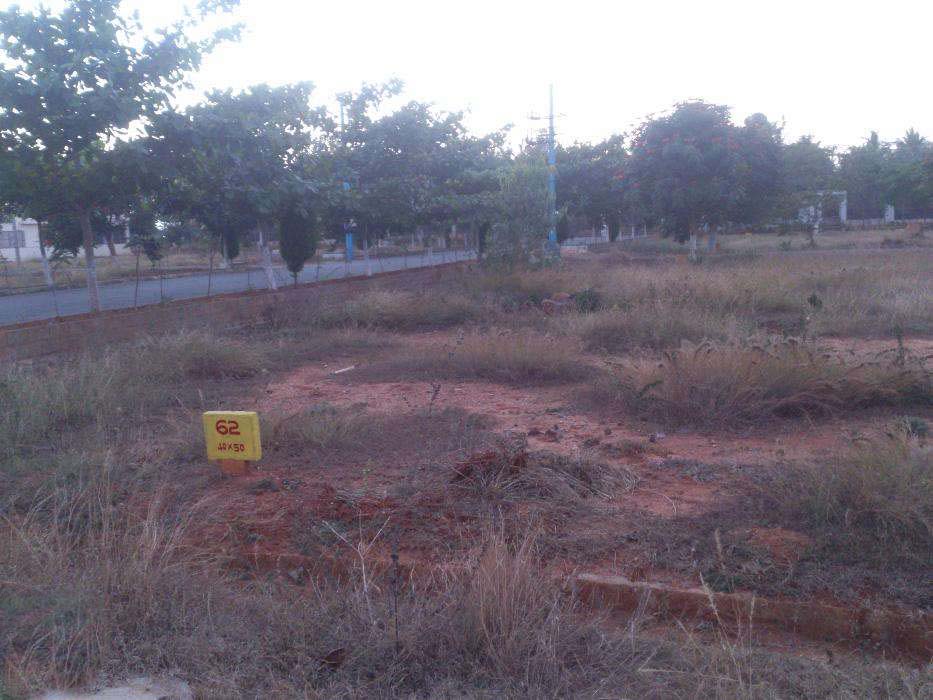 property4